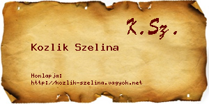Kozlik Szelina névjegykártya